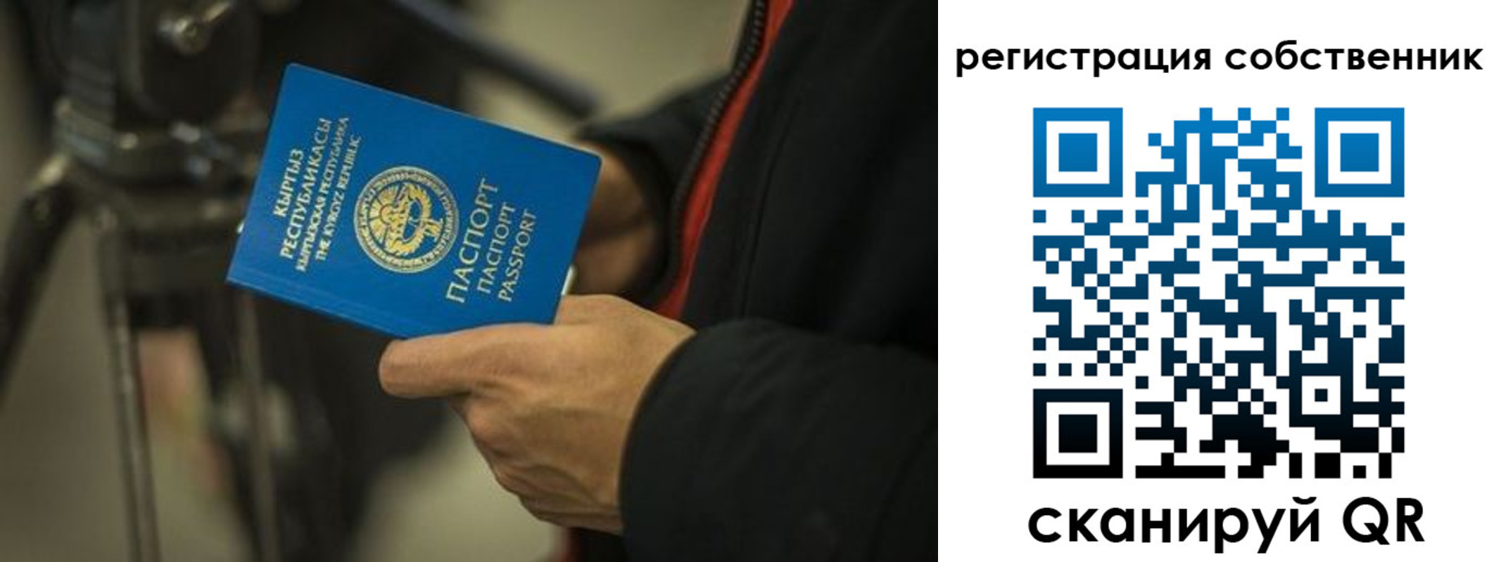 временная регистрация поиск в Мончегорске